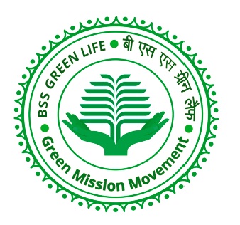 3 kW Solar Power Plant- Grid Tie- REnewsys & EVVO